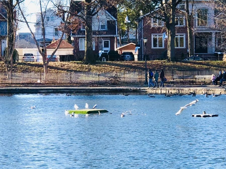 IMG_9259.jpg?type=w966