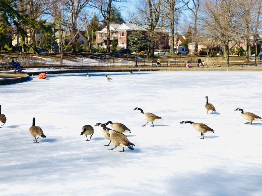 IMG_4842.jpg?type=w966