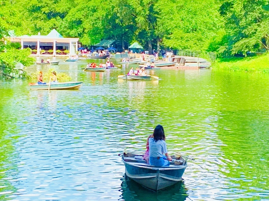 IMG_3486.jpg?type=w966