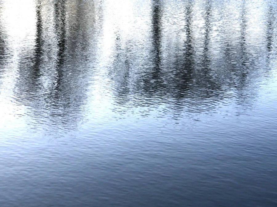 IMG_1111.jpg?type=w966