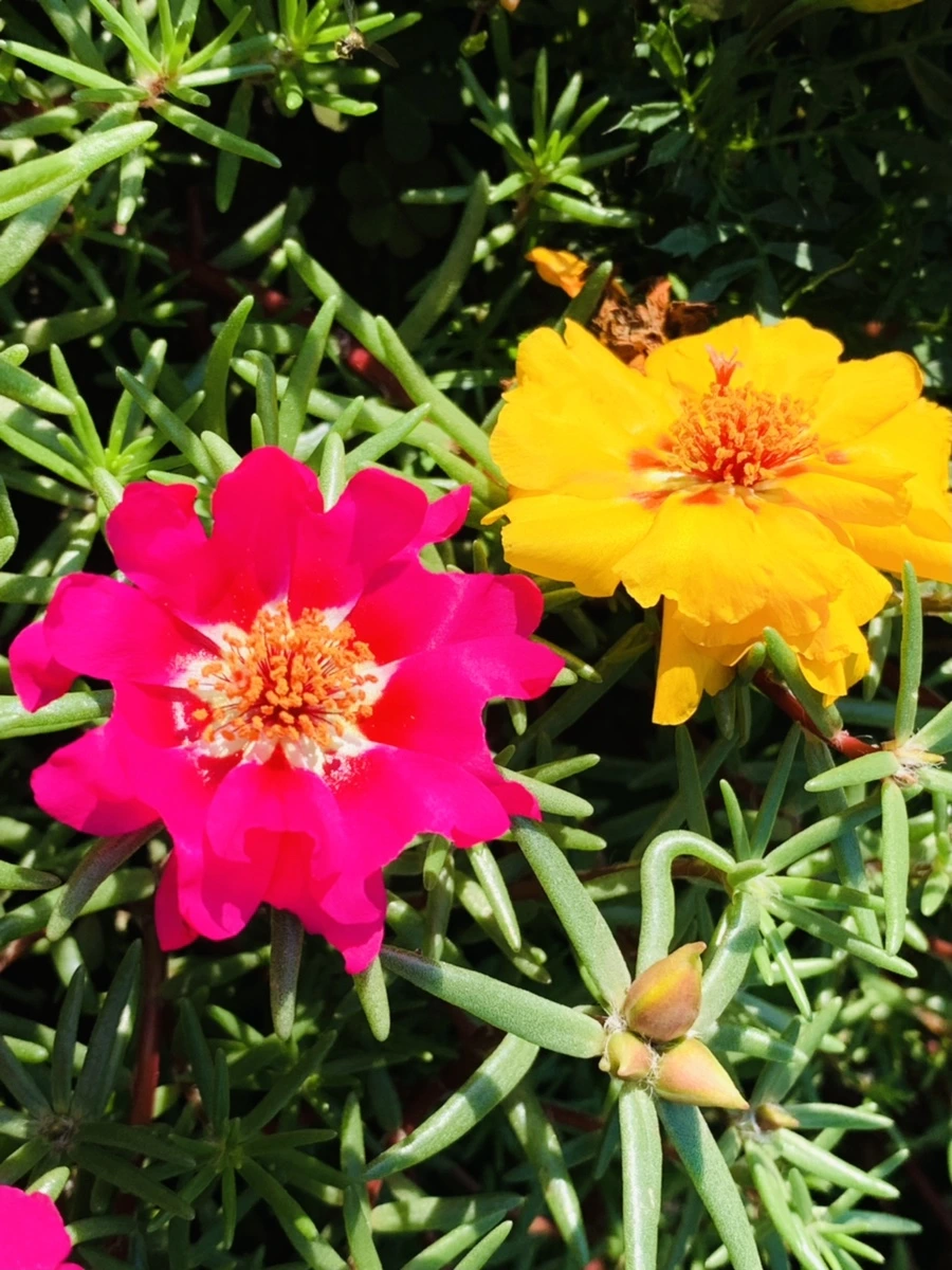 IMG_8375.jpg?type=w966