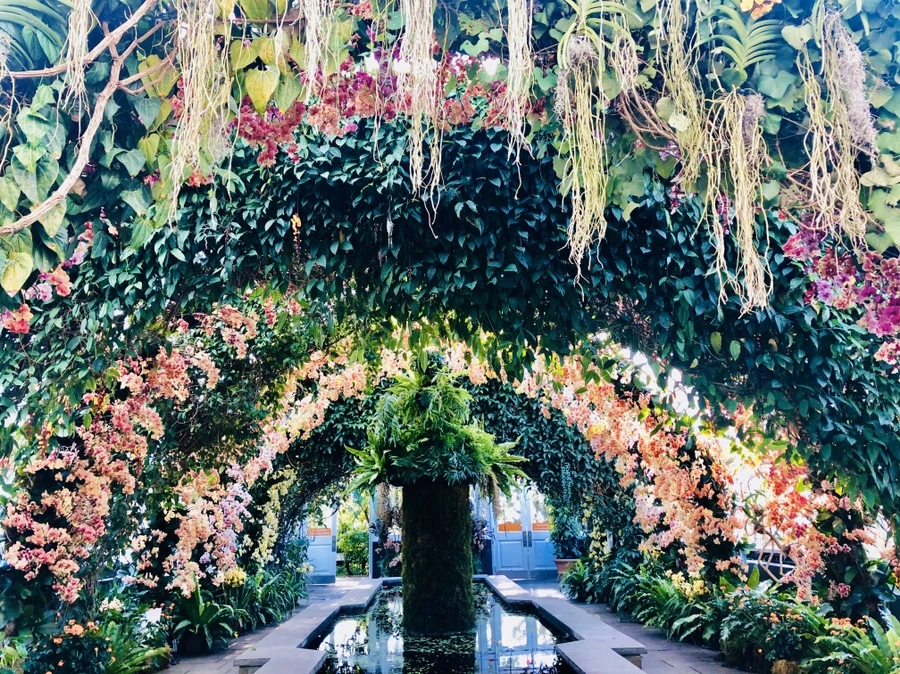 IMG_6299.jpg?type=w966