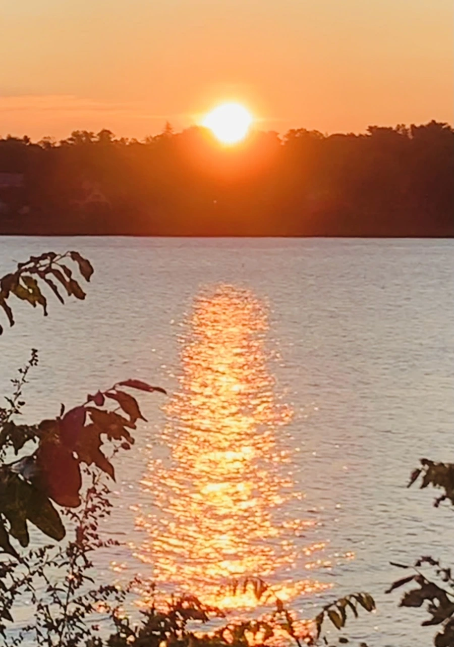 IMG_9560.jpg?type=w966