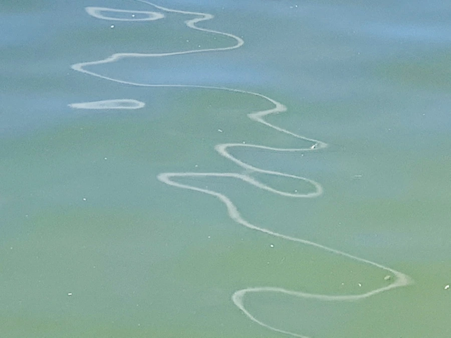 IMG_0604.jpg?type=w966