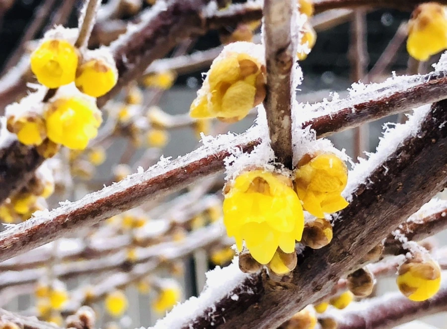 IMG_3521.jpg?type=w966