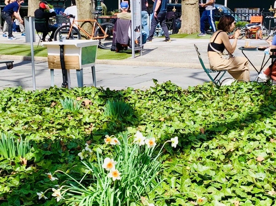 xS8IPtmQK8qhWh1Kae3eOX9bTJg