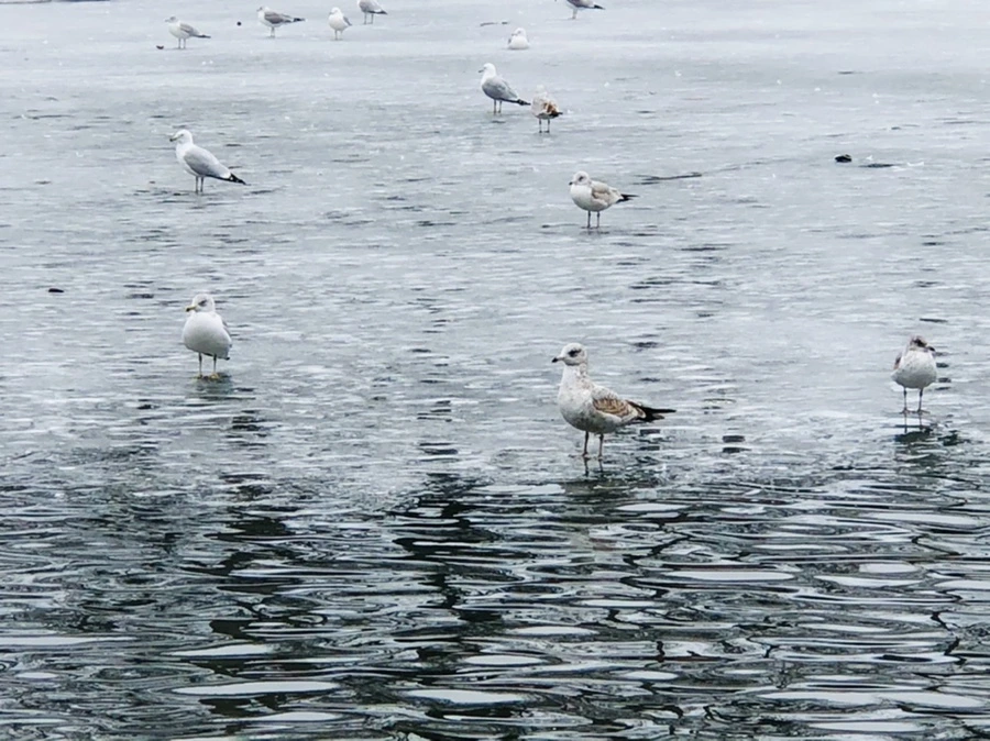 IMG_6053.jpg?type=w966