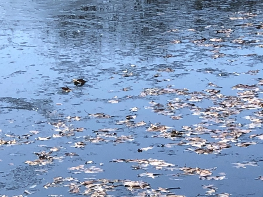 IMG_6616.jpg?type=w966