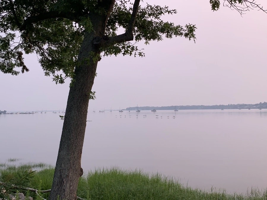 VErFeFmjUHIU8m2upiqV10KAsto