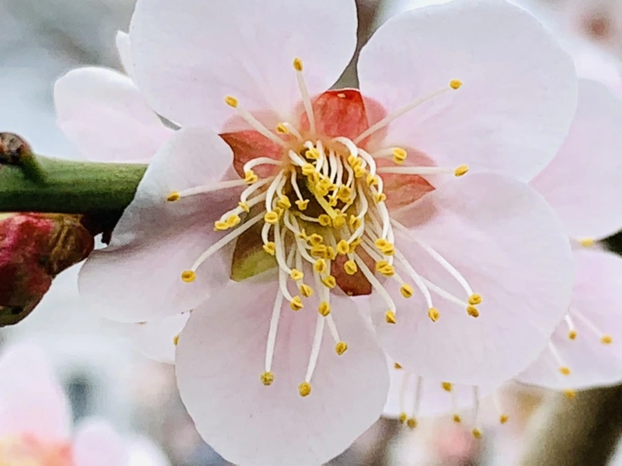 IMG_3631.jpg?type=w966