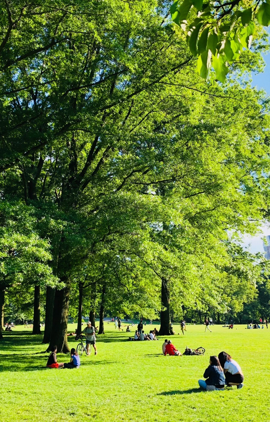 IMG_7583.jpg?type=w966