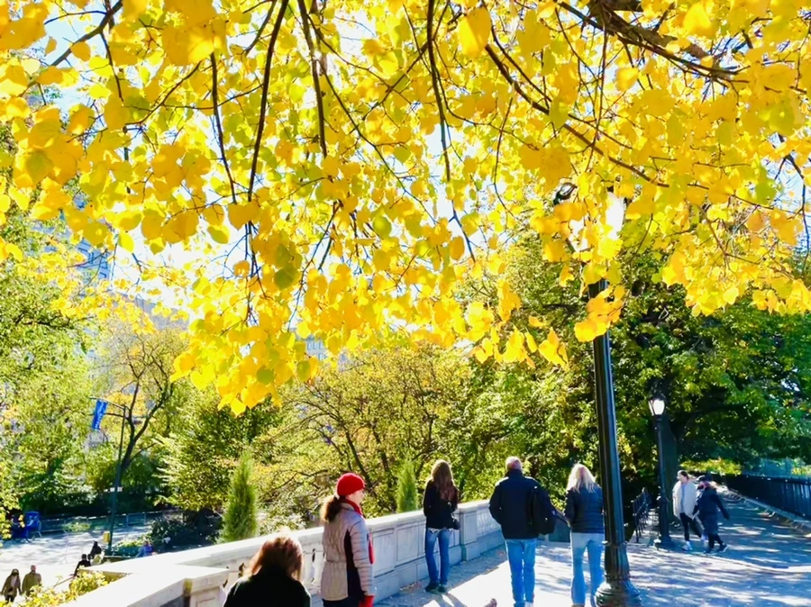 IMG_0591.jpg?type=w966