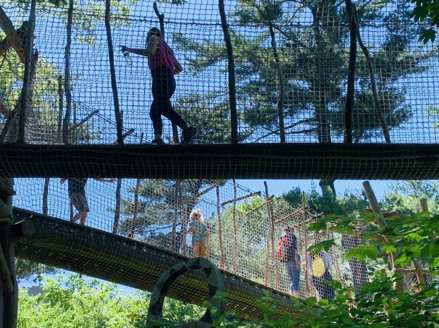 H9PVo42jjibc1jObZHMcHBEEQPI