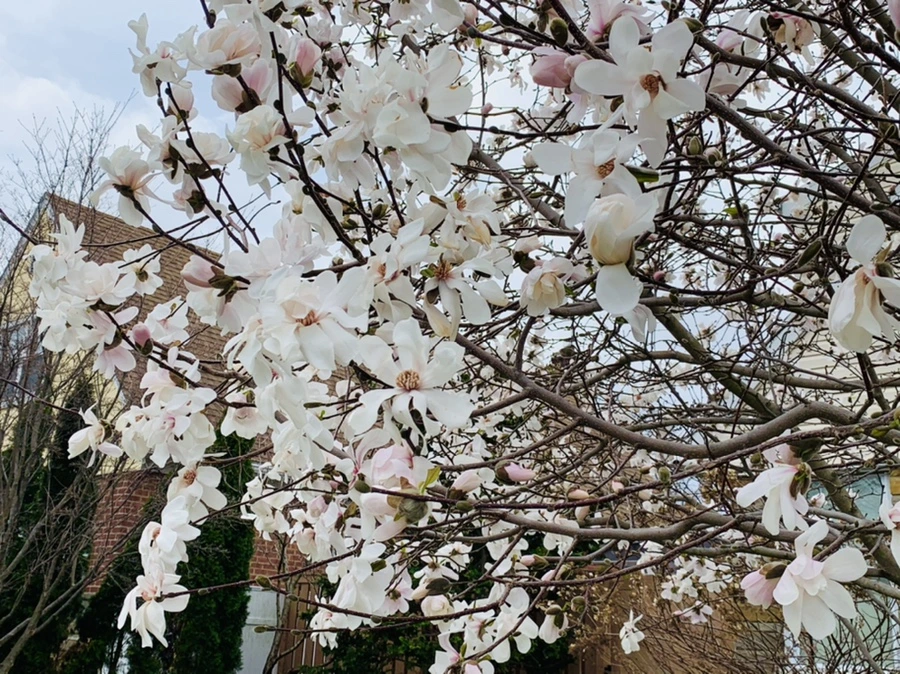 IMG_5925.jpg?type=w966