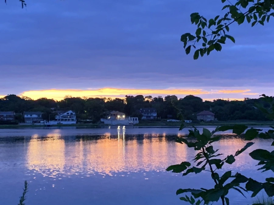 IMG_2256.jpg?type=w966