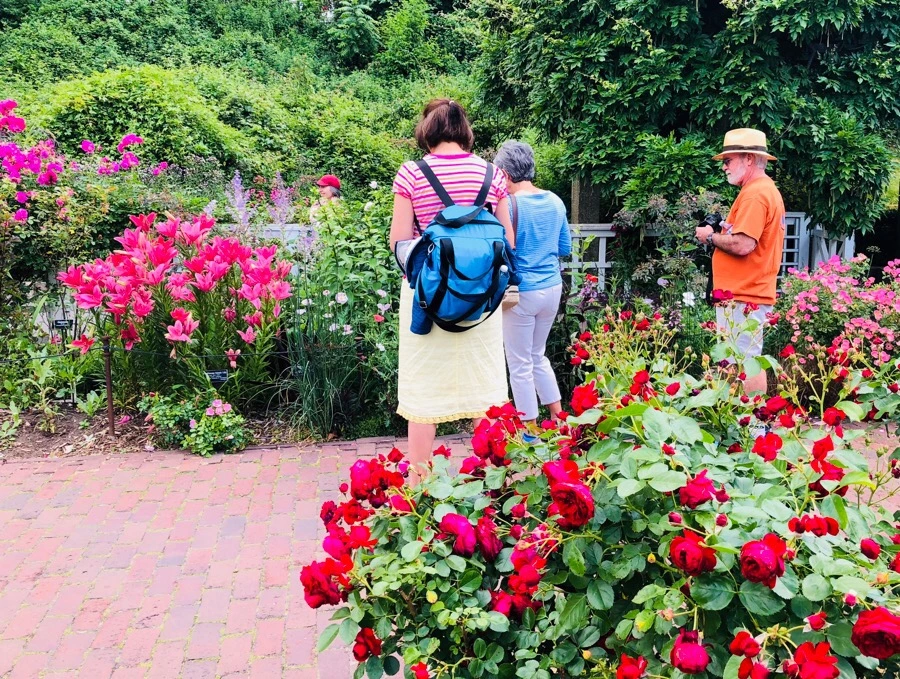 IMG_7874.jpg?type=w966