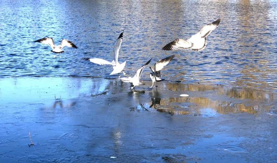 IMG_0534.jpg?type=w966