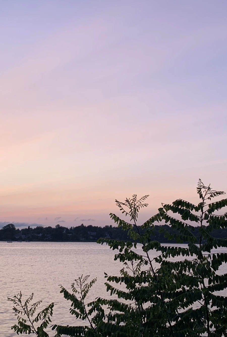 IMG_5363.jpg?type=w966