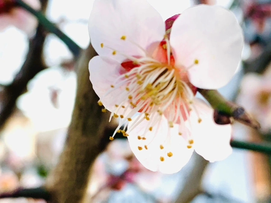 IMG_2236.jpg?type=w966