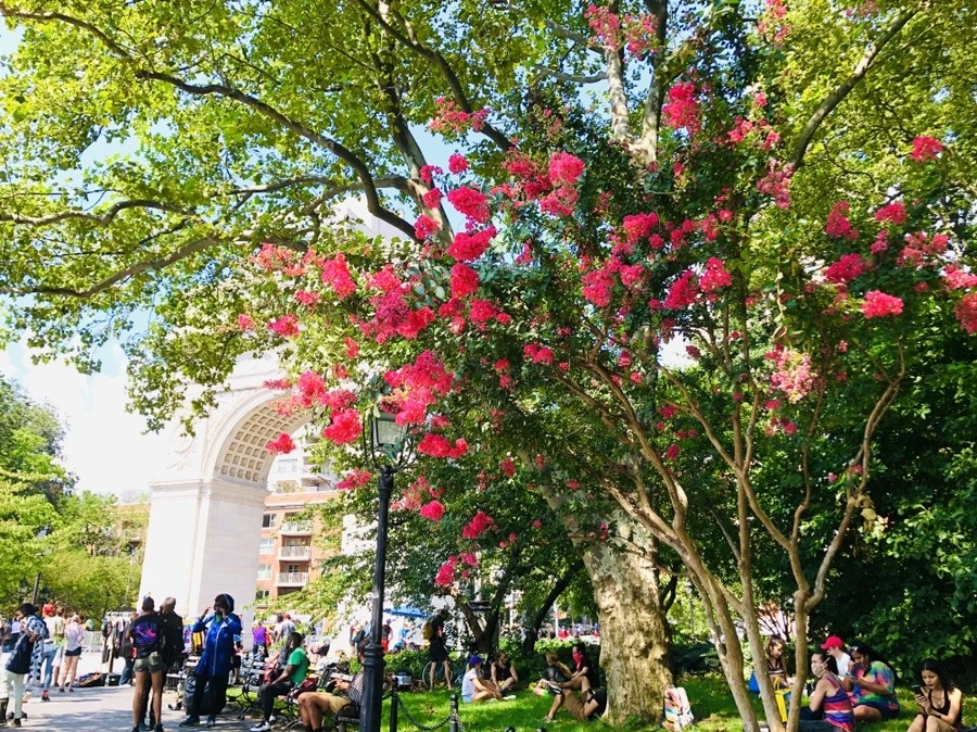 Wj1_wr8kju1kCC-yzde8987LGkk