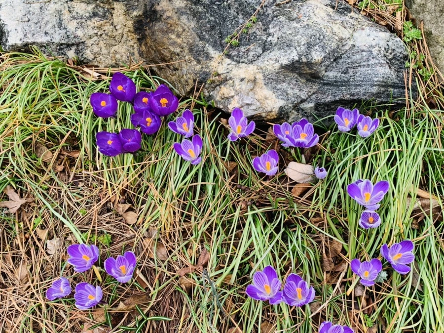 IMG_3790.jpg?type=w966