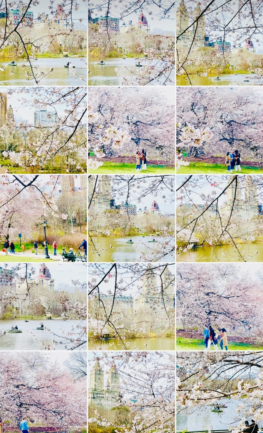 IMG_8992.jpg?type=w966