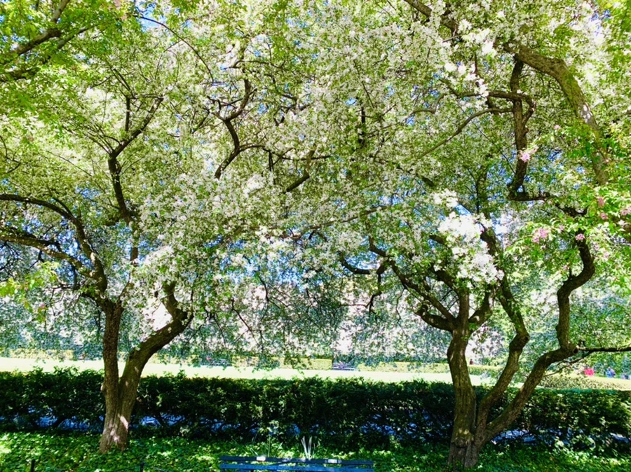 IMG_5727.jpg?type=w966