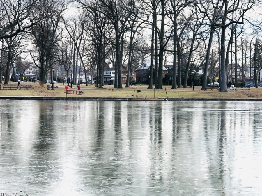 IMG_4762.jpg?type=w966