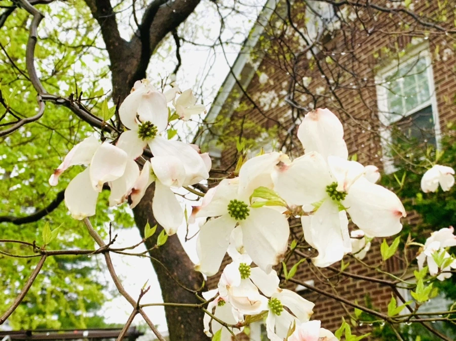 IMG_5323.jpg?type=w966