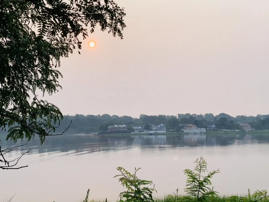 IMG_8463.jpg?type=w966