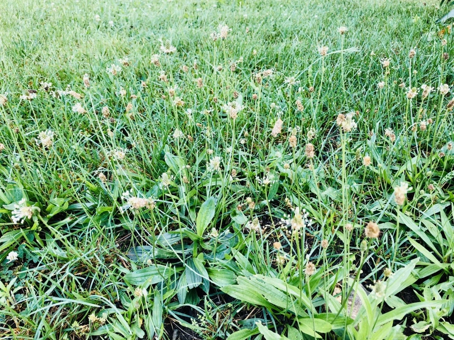 IMG_8338.jpg?type=w966