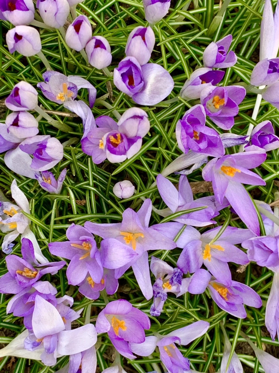 IMG_1720.jpg?type=w966