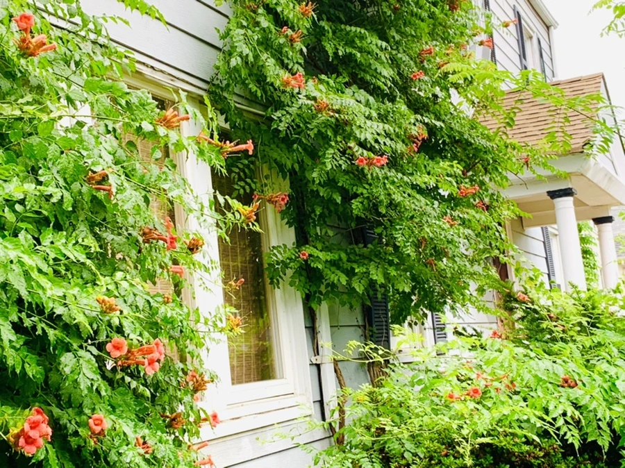 IMG_9684.jpg?type=w966