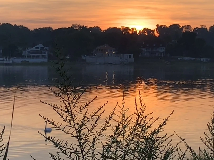 IMG_6818.jpg?type=w966