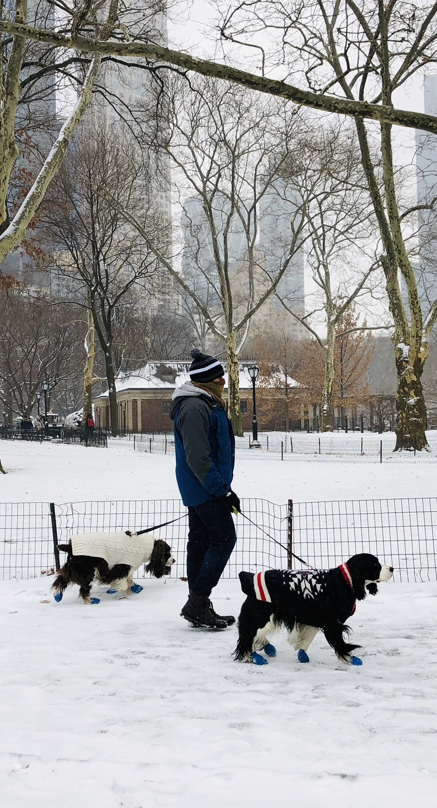 IMG_9544.jpg?type=w966