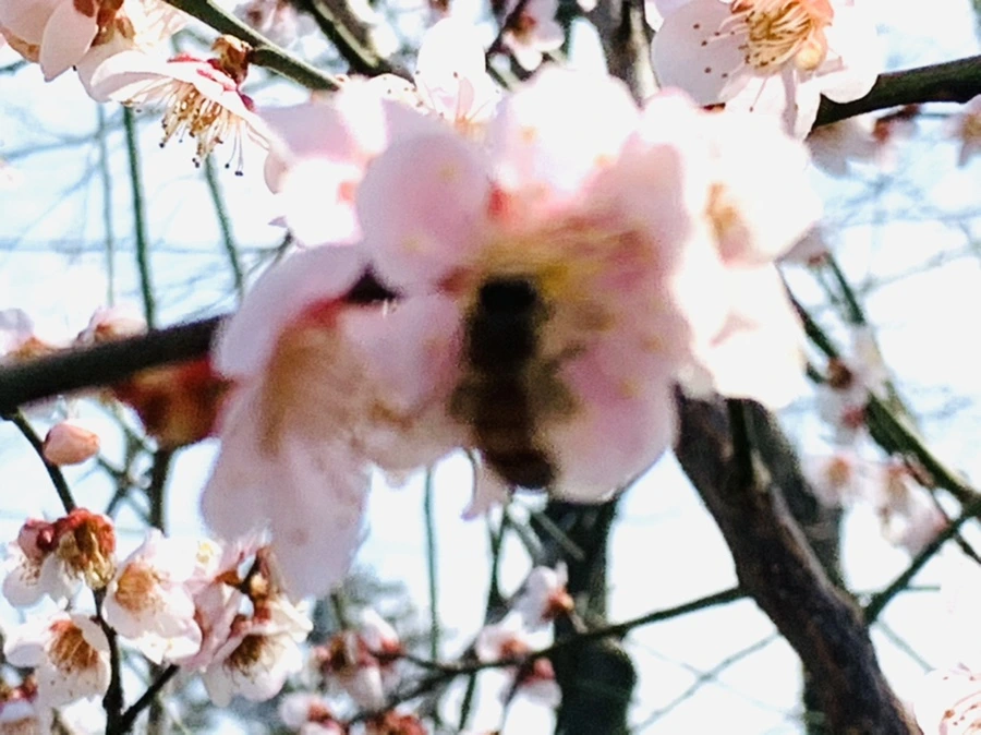 IMG_4228.jpg?type=w966