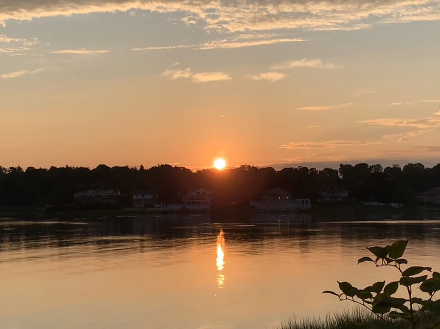 IMG_1274.jpg?type=w966