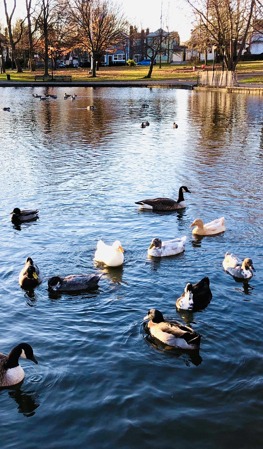 IMG_5956.jpg?type=w966