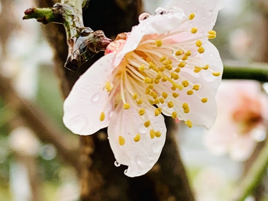 IMG_1919.jpg?type=w966