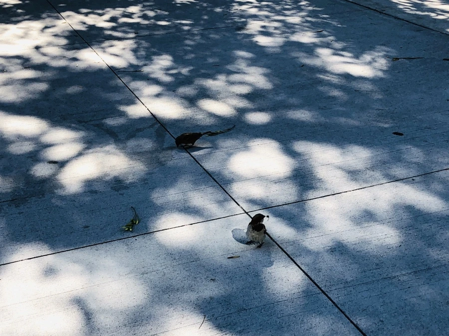 IMG_3480.jpg?type=w966