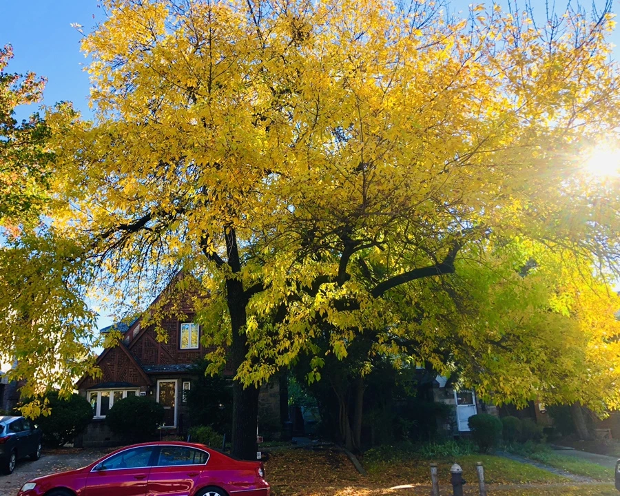 IMG_1888.jpg?type=w966