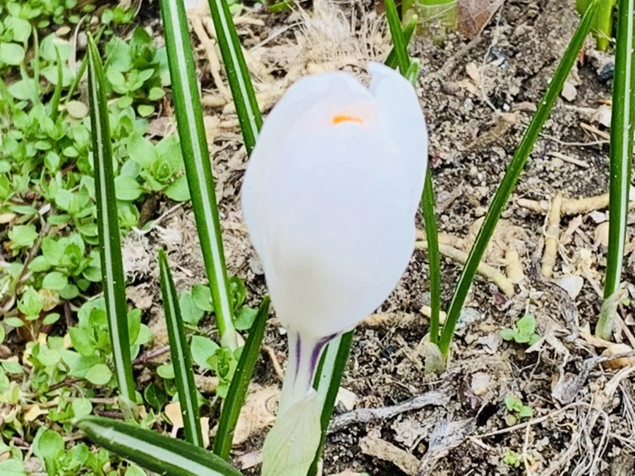 IMG_3545.jpg?type=w966