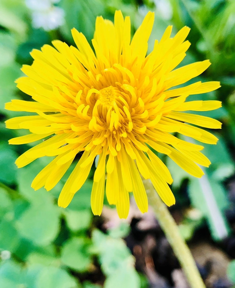 IMG_8322.jpg?type=w966