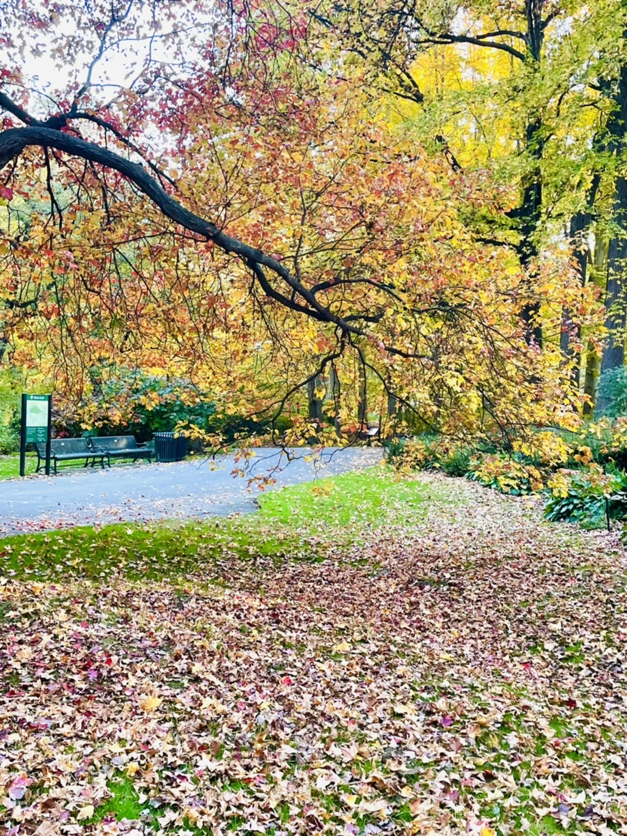 IMG_1846.jpg?type=w966