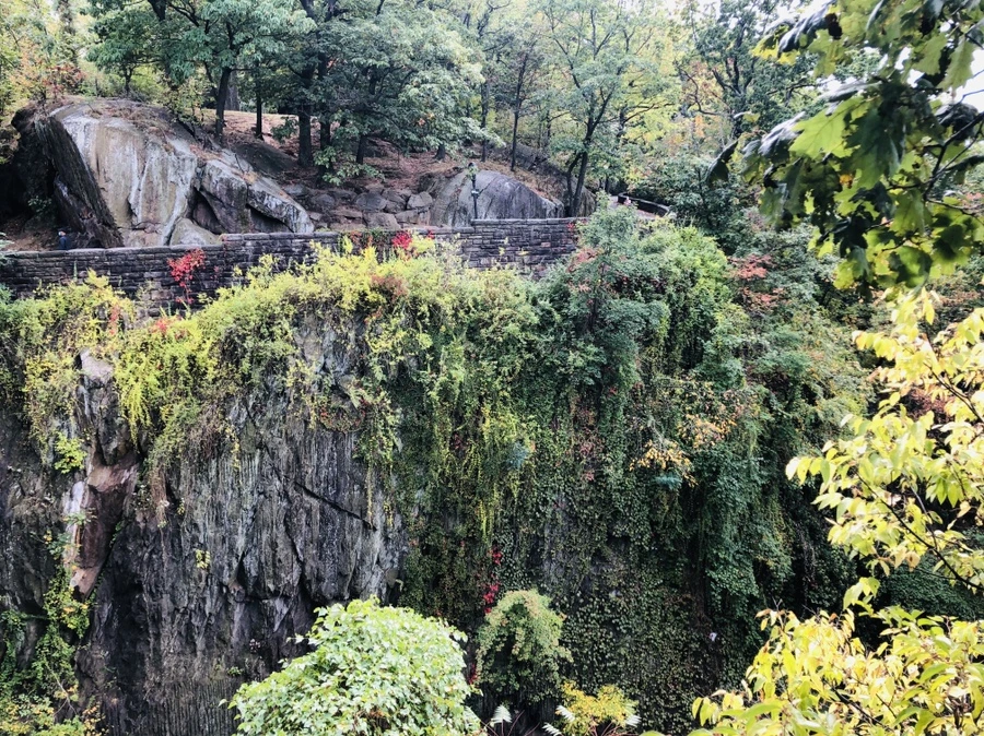 IMG_1509.jpg?type=w966