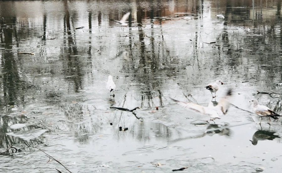 IMG_3175.jpg?type=w966