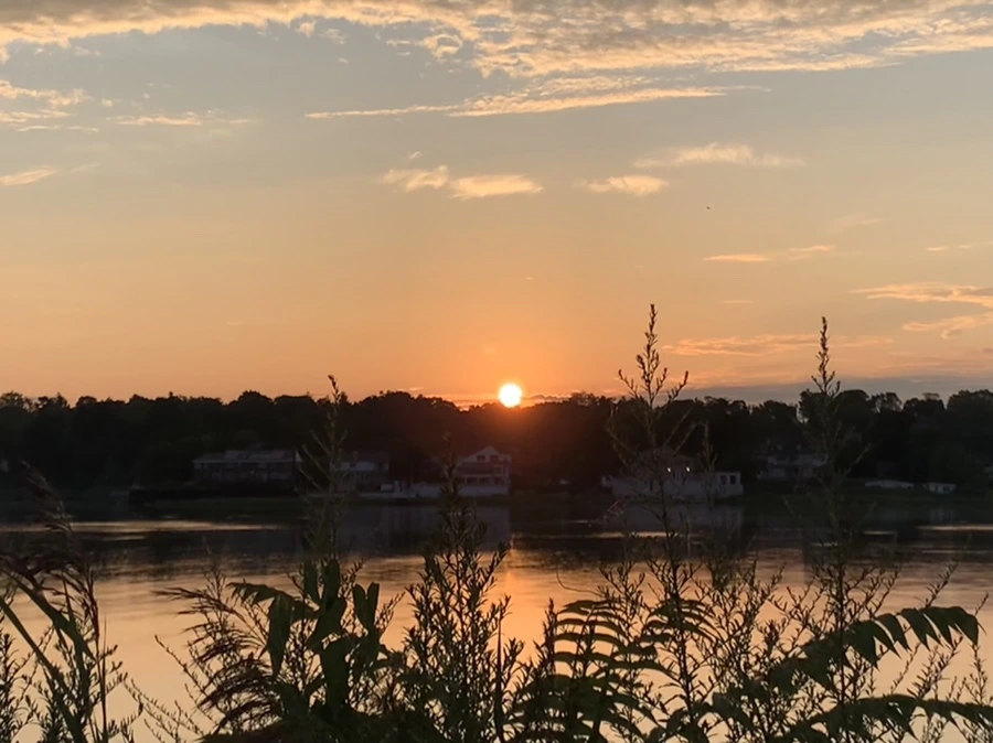 IMG_1269.jpg?type=w966