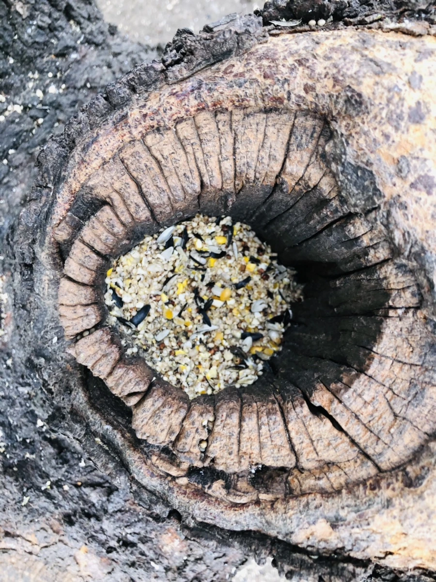 IMG_0068.jpg?type=w966