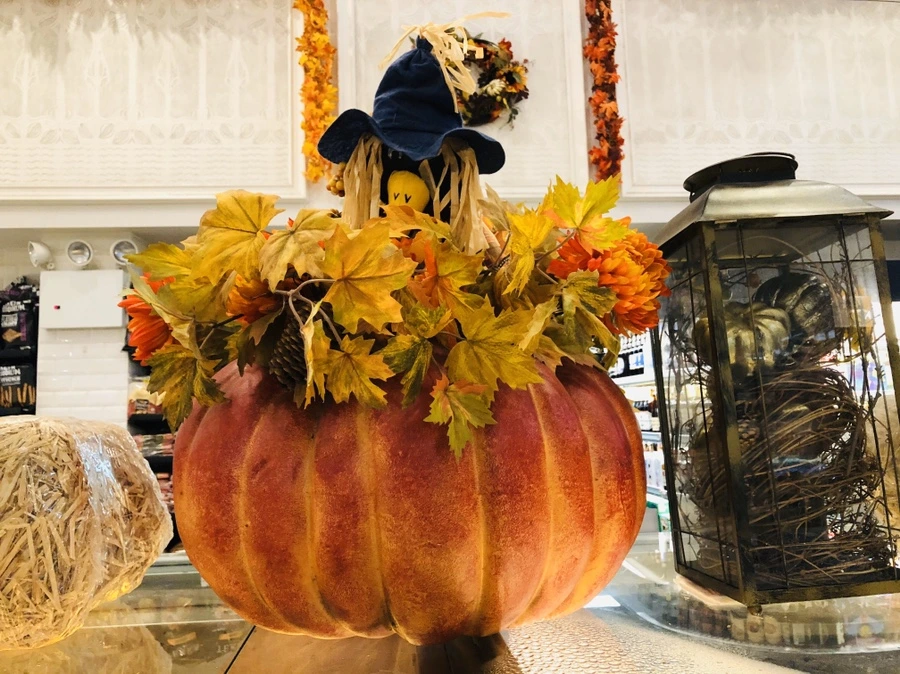 IMG_1740.jpg?type=w966