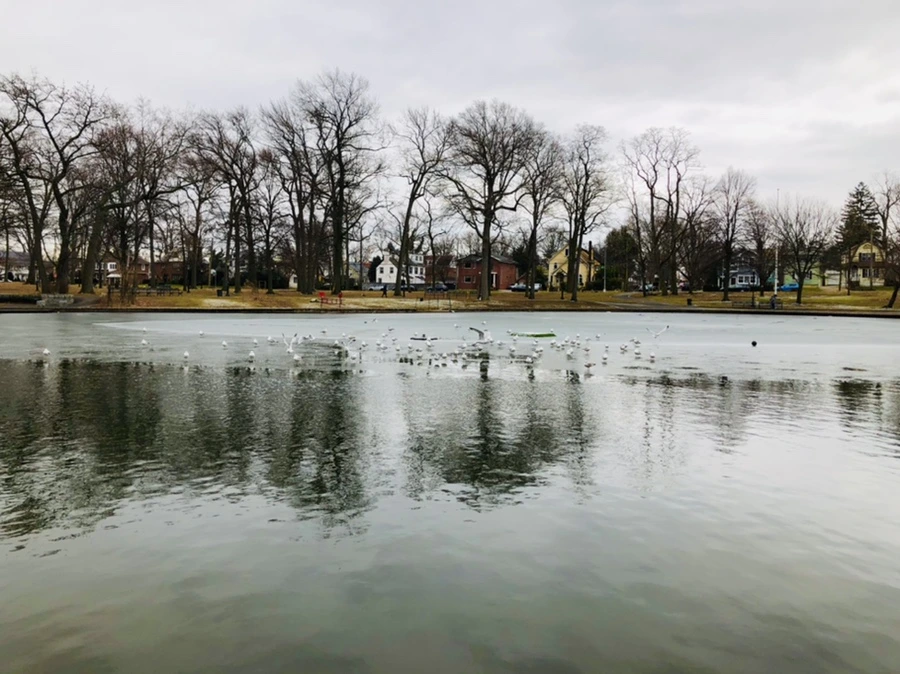 IMG_6399.jpg?type=w966